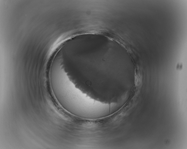 X0000113060198200909110924