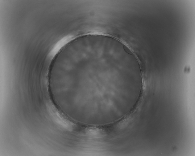 X0000113060199200909110924