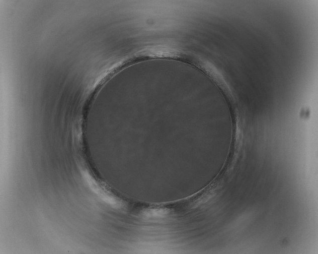 X0000113060202200909110924