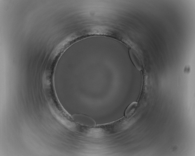 X0000113060203200909110924