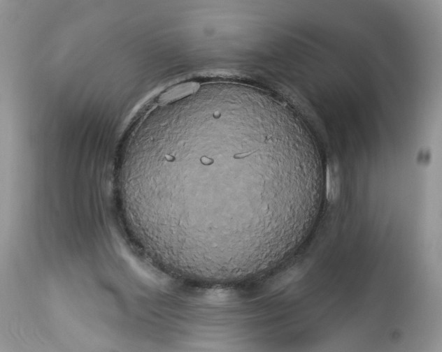 X0000113060204200909110924