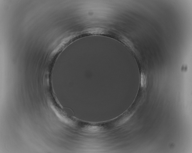 X0000113060205200909110924