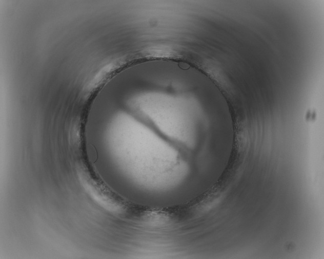 X0000113060207200909110923