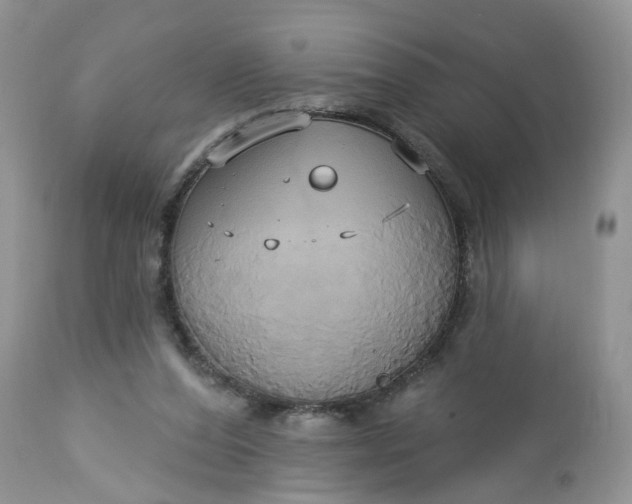 X0000113060208200909110923