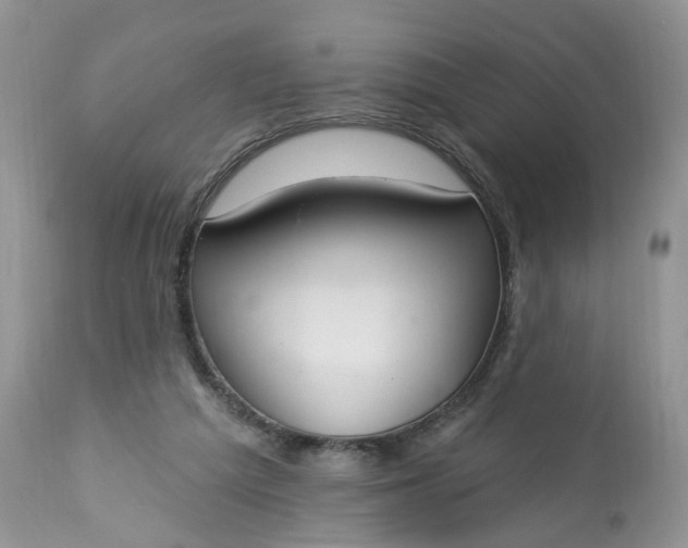 X0000113060209200909110923