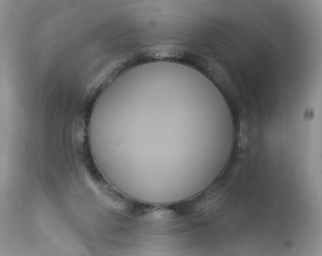 X0000113060210200909110923
