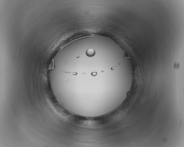 X0000113060212200909110923