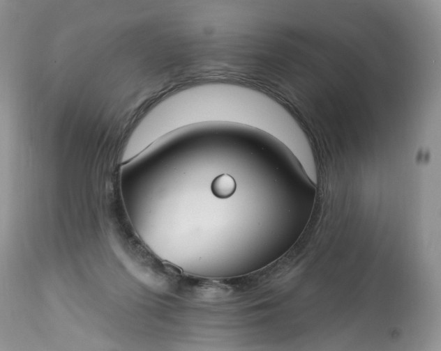 X0000113060215200909110923