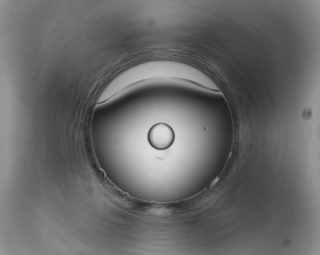 X0000113060217200909110923