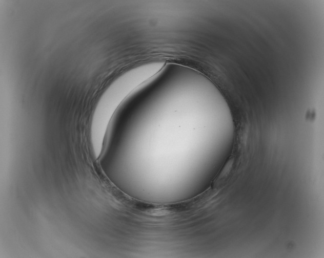 X0000113060219200909110923
