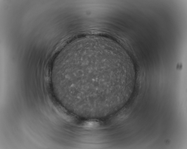 X0000113060220200909110923