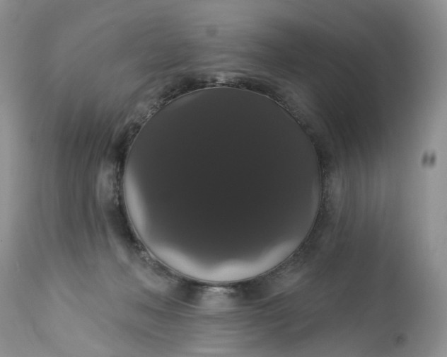X0000113060222200909110923