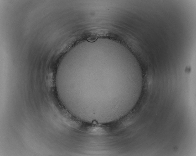 X0000113060224200909110923