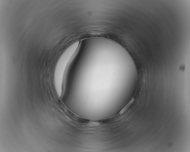 X0000113060227200909110923