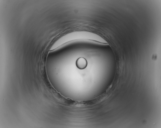 X0000113060228200909110923