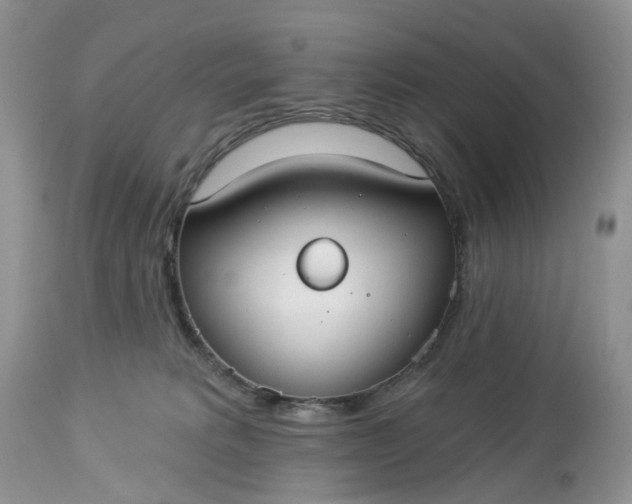 X0000113060229200909110923