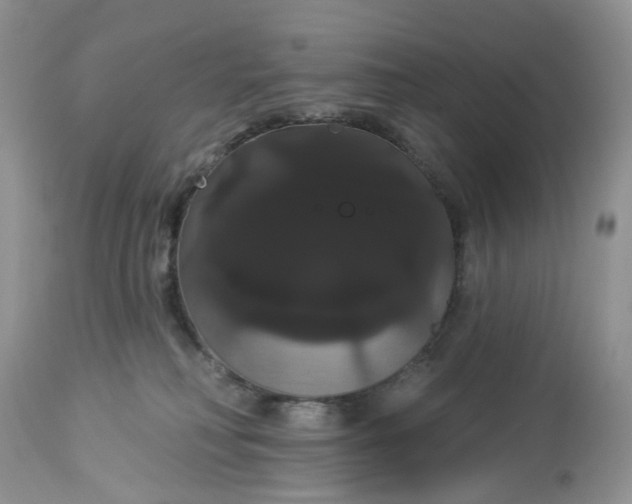 X0000113060230200909110923