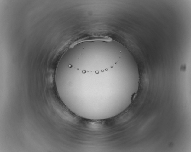 X0000113060232200909110923