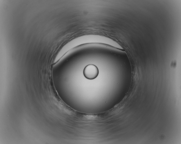X0000113060233200909110923