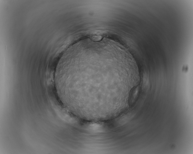 X0000113060236200909110923