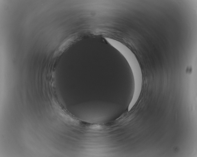 X0000113060237200909110923