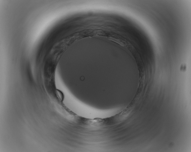 X0000113060239200909110923