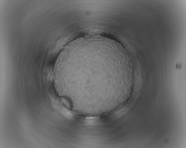 X0000113060240200909110923