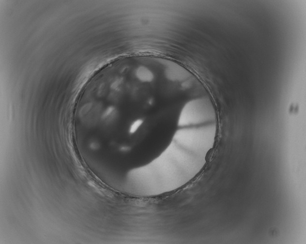 X0000113060241200909110922