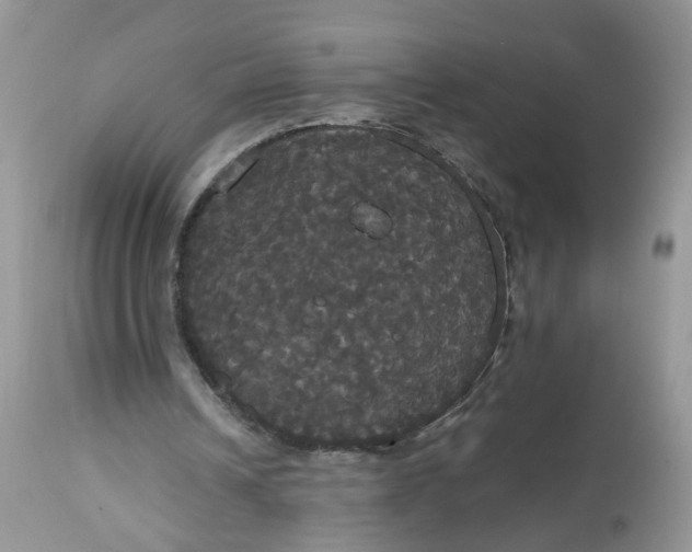 X0000113060242200909110922