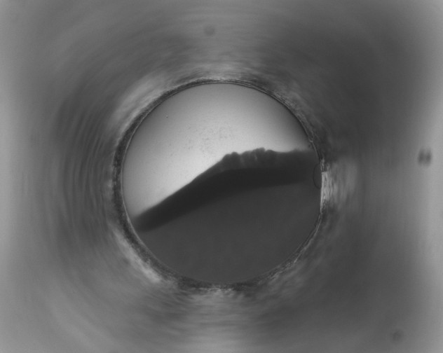 X0000113060243200909110922