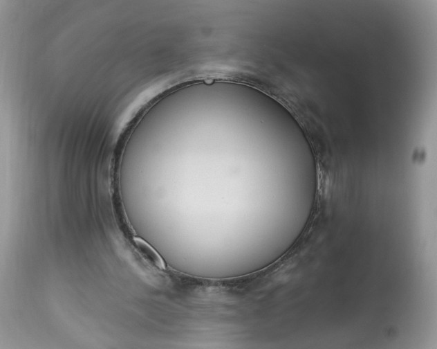 X0000113060244200909110922