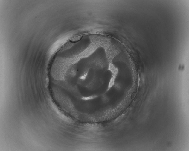 X0000113060245200909110922