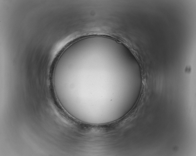 X0000113060248200909110922