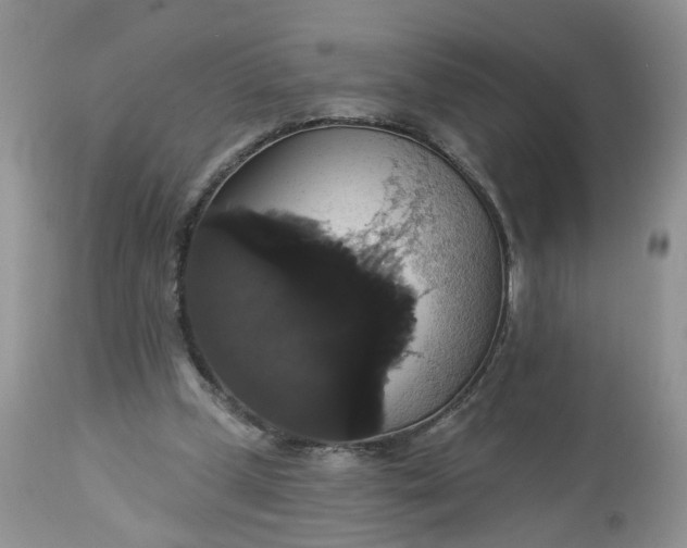 X0000113060249200909110922