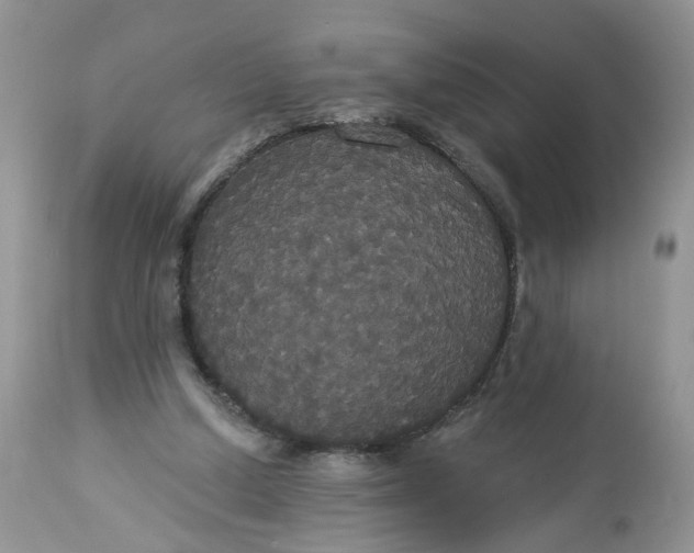 X0000113060250200909110922