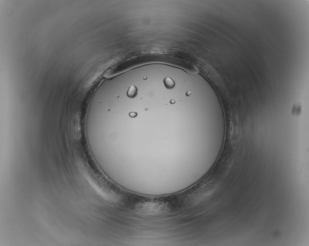 X0000113060251200909110922