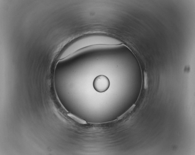X0000113060252200909110922