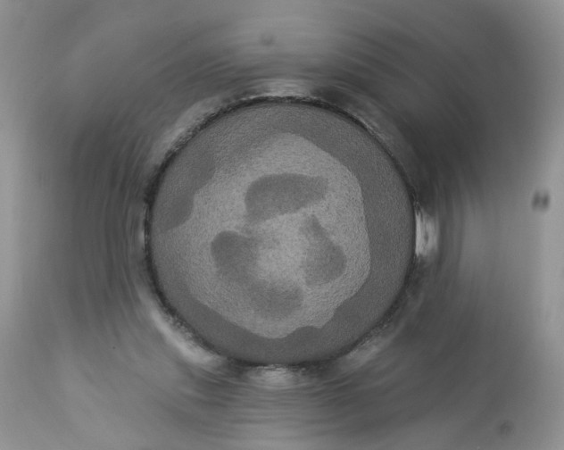 X0000113060253200909110922