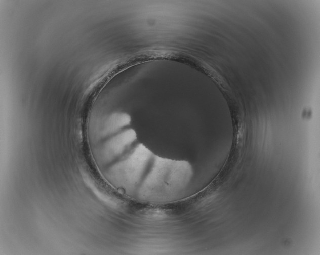 X0000113060254200909110922