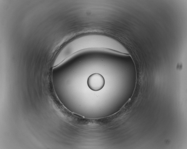 X0000113060256200909110922
