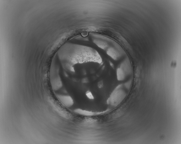 X0000113060257200909110922
