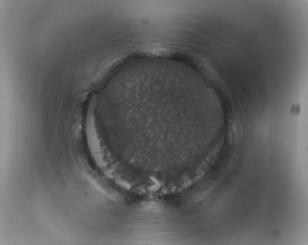 X0000113060259200909110922