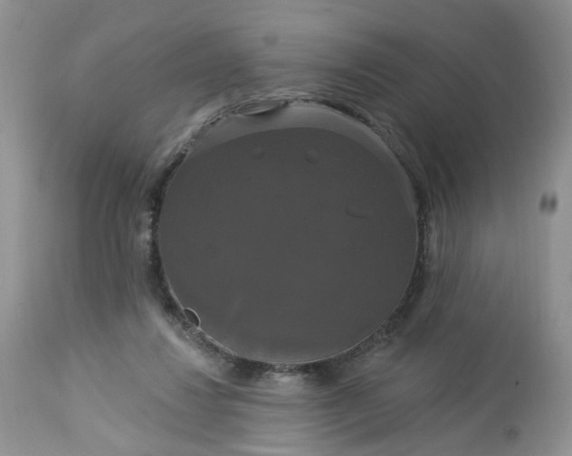 X0000113060260200909110922