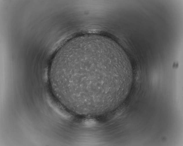X0000113060262200909110922