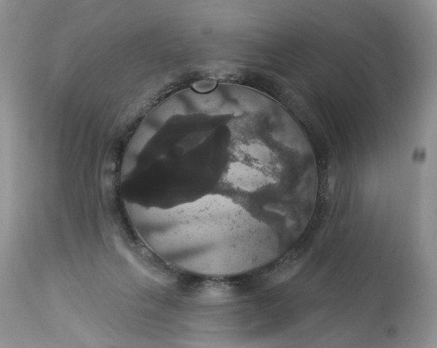 X0000113060263200909110922