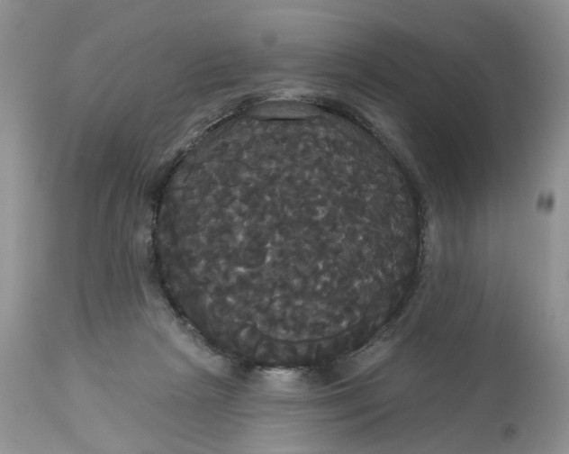 X0000113060265200909110923