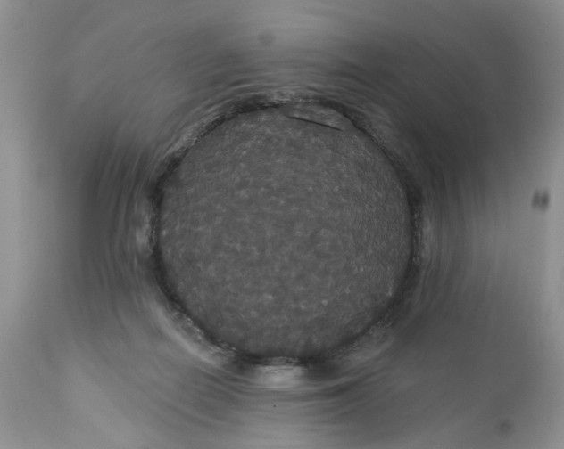X0000113060266200909110923