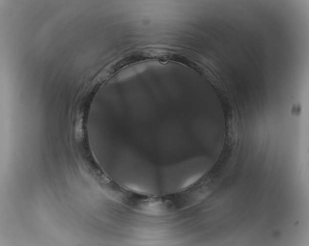 X0000113060267200909110923