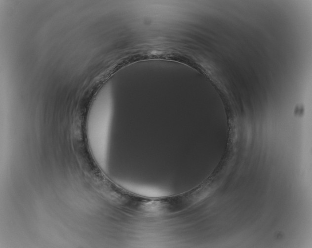 X0000113060269200909110923