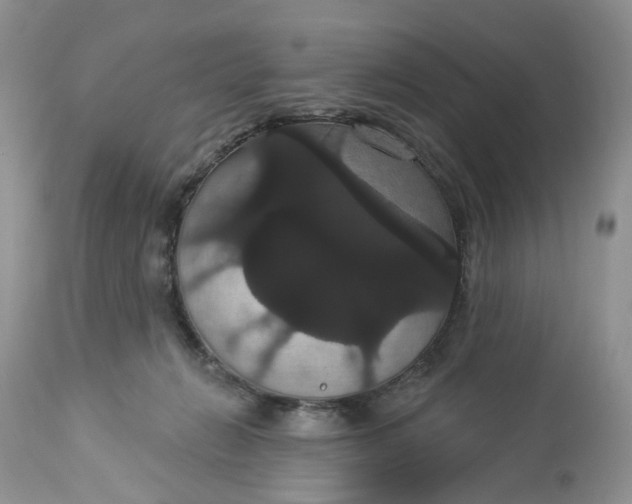 X0000113060270200909110923